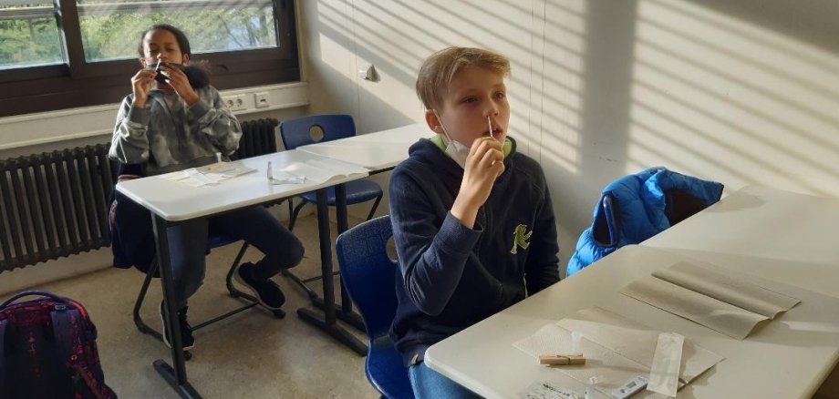 Ein Junge schiebt sich ein Teststäbchen in die Nase.