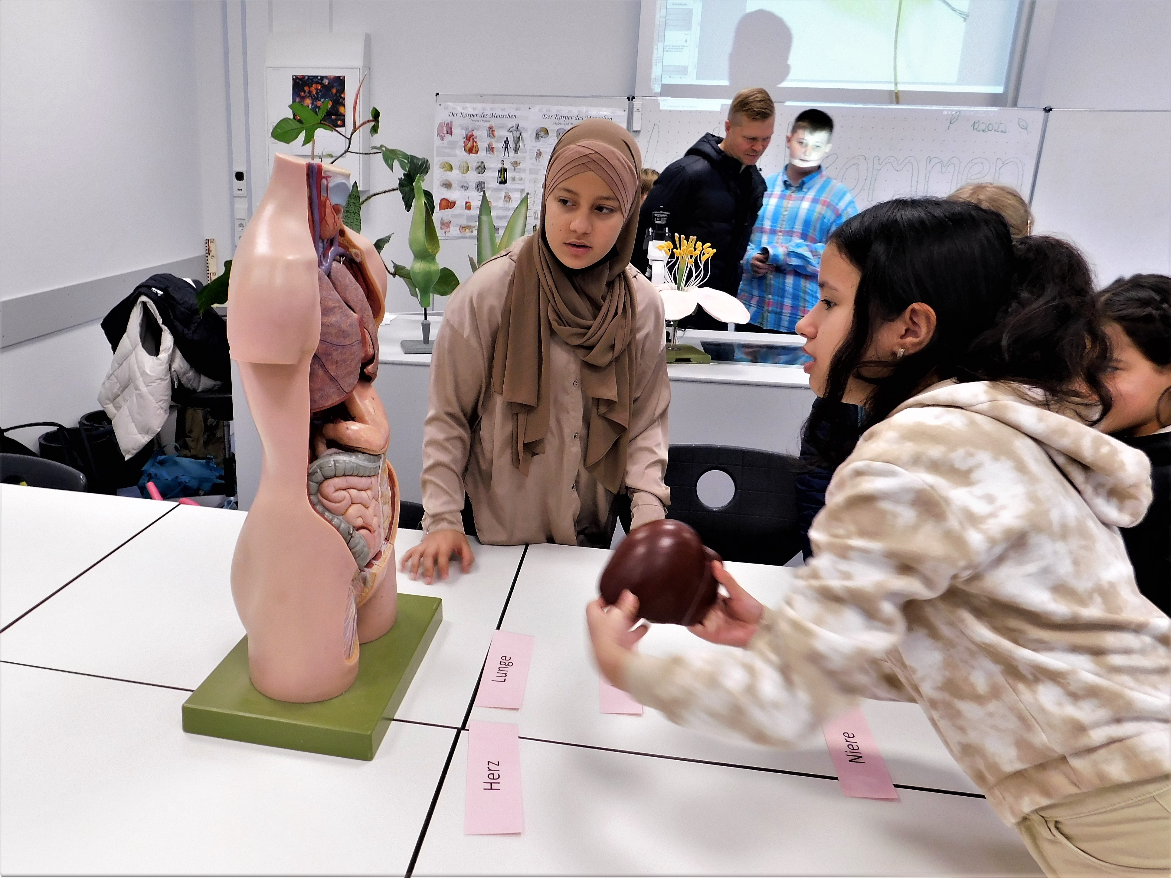 Mädchen schauen sich einen Torso mit Organen an.