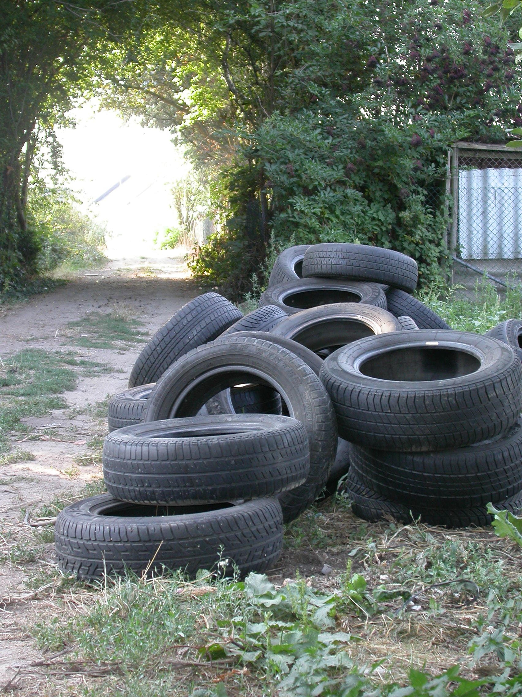 Autoreifen - wild im Freizeitpark entsorgt.