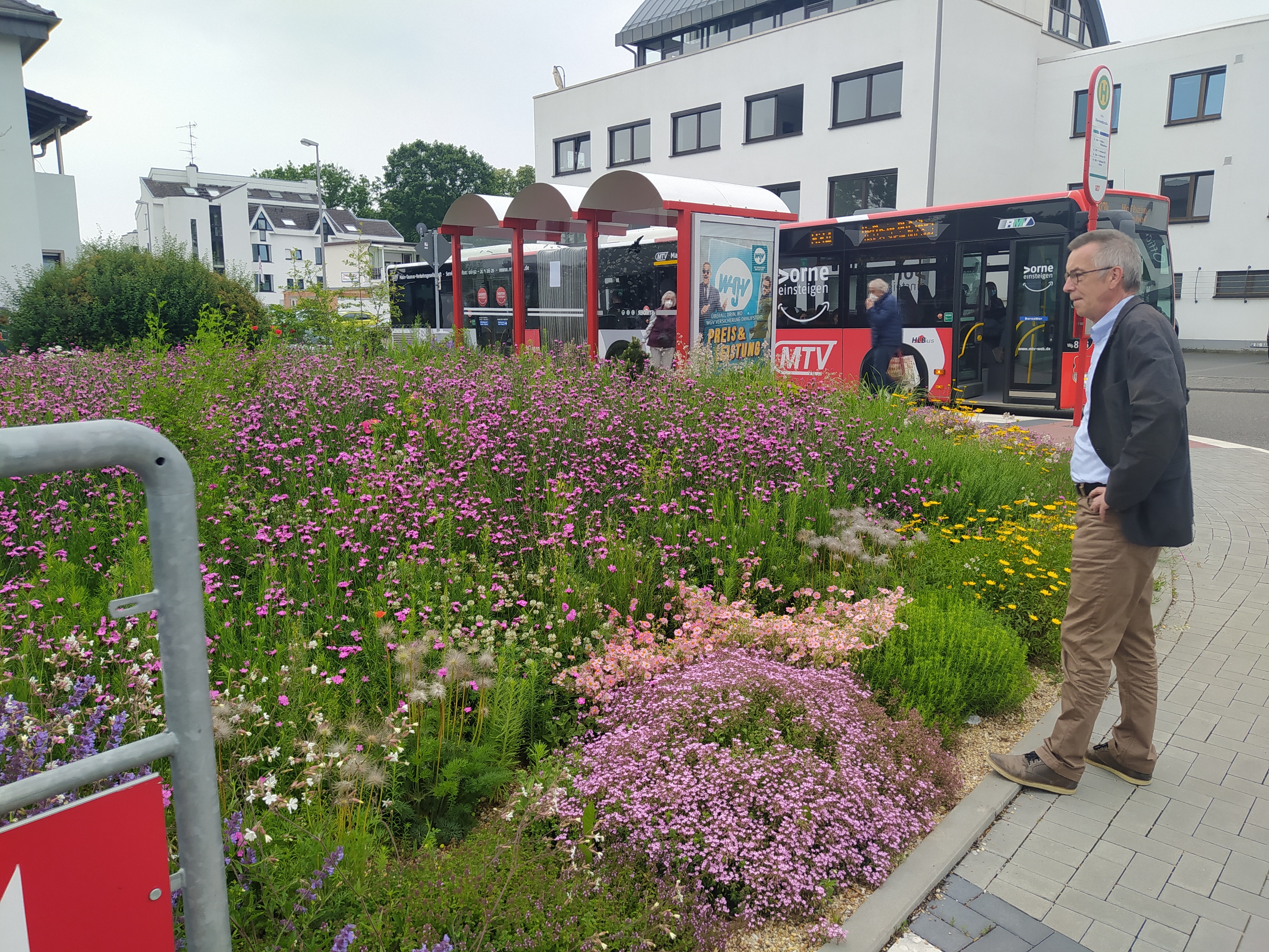 Franz Jirasek vor dem Wildstaudenbeet in der Oberweidstraße.