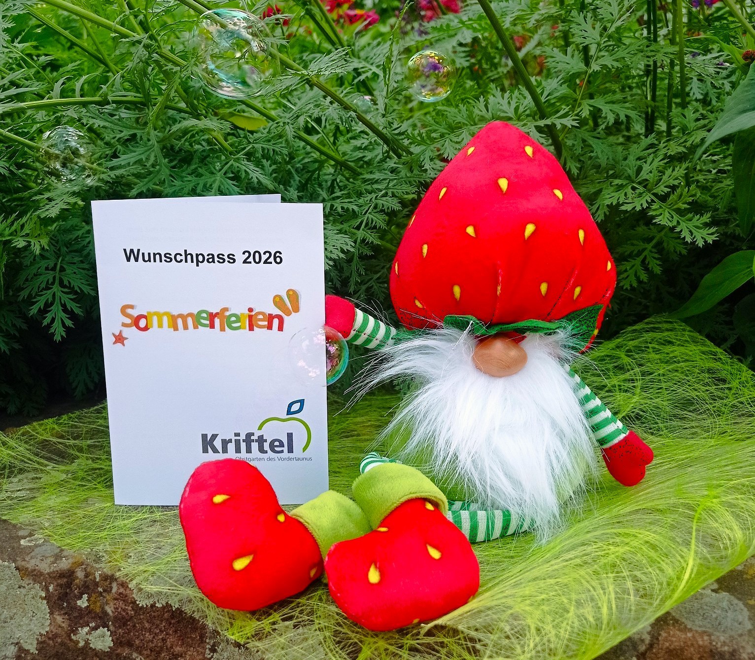 Erdbeerzwerg mit dem Wunschpass.