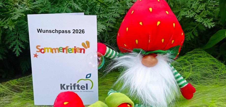 Erdbeerzwerg mit dem Wunschpass.