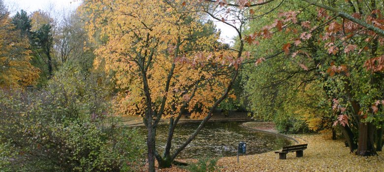 Herbstansichten_2009 (2).JPG