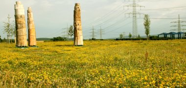 Blumenwiese_2007_02 Kopie.jpg