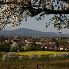 Ansicht von Kriftel im Frühling