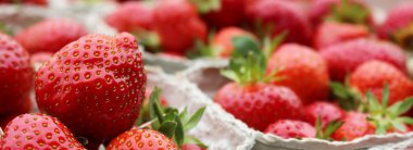 Obst (5).JPG