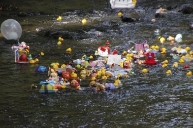 Entenrennen_2015 (7).JPG