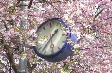 Bahnhofsuhr_Blüten.jpg