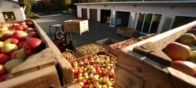 Obstbau obstbau4.jpg