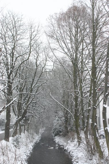 Der Schwarzbach im Winter IMG_3607.JPG