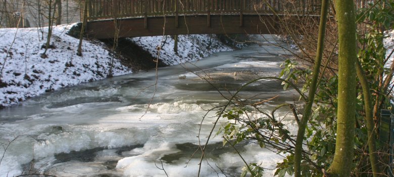 Winterlicher Schwarzbach IMG_3886.JPG