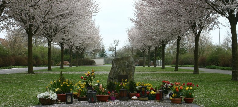 Friedhof Kriftel IMG_0626.JPG