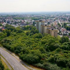 Kriftel aus der Vogelperspektive: drei Hochhäuser des Wohngebiets und ein bepflanztes Waldstück im Vordergrund.