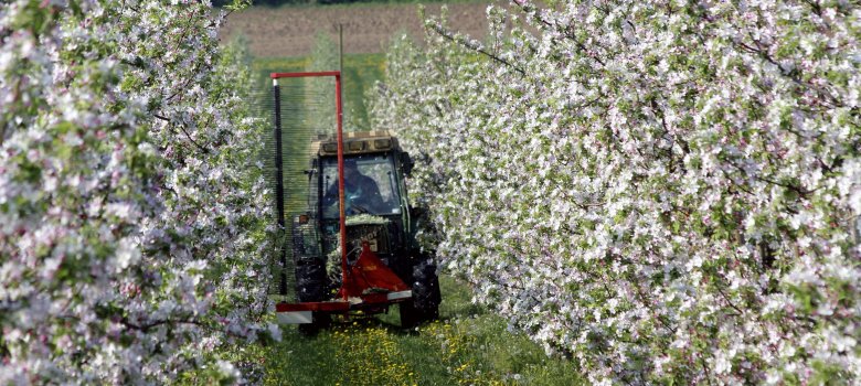 Landwirtschaft im Frühling Frühling (1).JPG