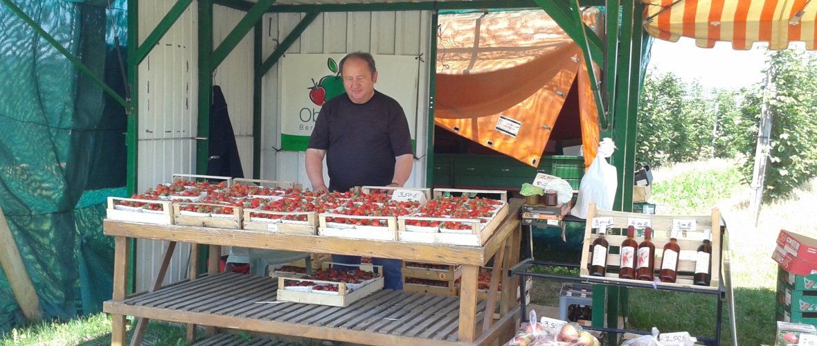 Herr Heil beim Standverkauf Obstbau Heil (2).jpg